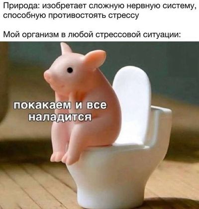 Post media