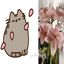♡゙ pusheen daily + cf. . ౨ৎ Avatar