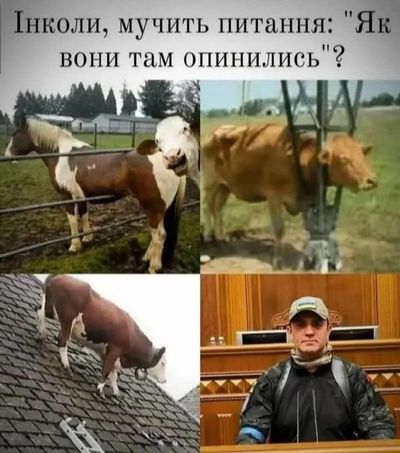 Post media