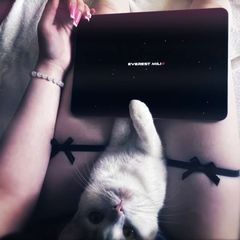 ᴇvᴇrᴇsᴛ ʍili avatar