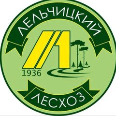 Лельчицкий лесхоз 🌳❤️🌳 avatar