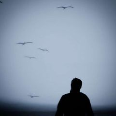 نداء البدايات avatar
