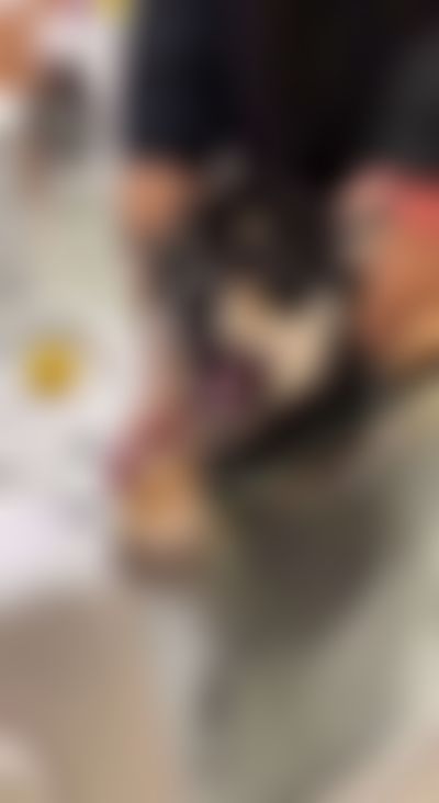 Post media background