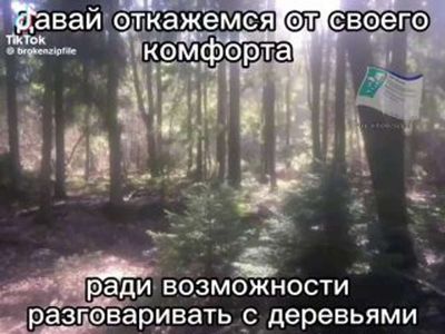 Post media