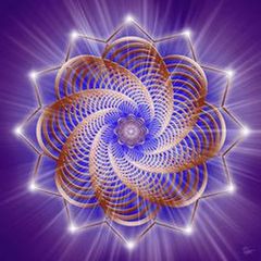 StarSeeds & Beyond avatar