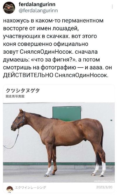 Post media