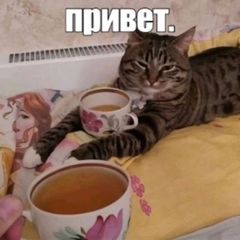 Дизеродни КАНОН Я СКАЗАЛА, согалсоресь же avatar