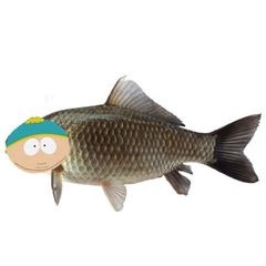рыба картман confession!!🐟🍔 avatar