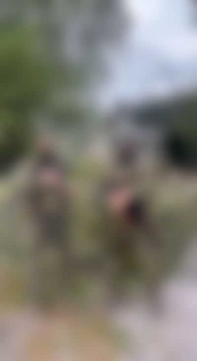 Post media background