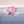 ꫝ lotus avatar