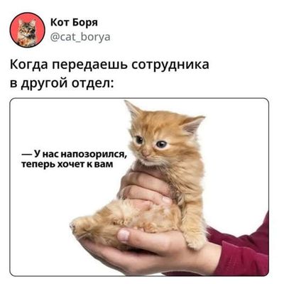 Post media