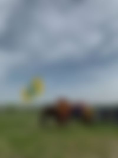 Post media background