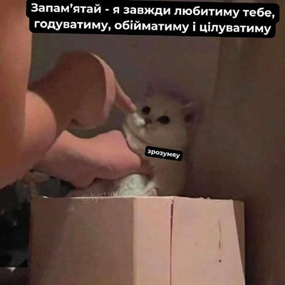 Post media