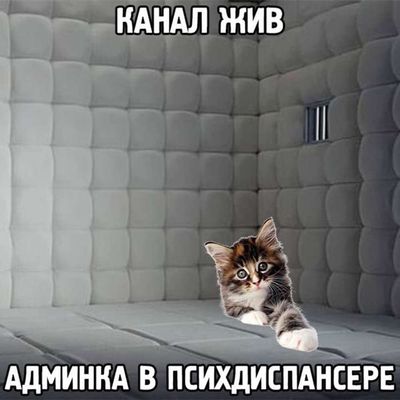 Post media