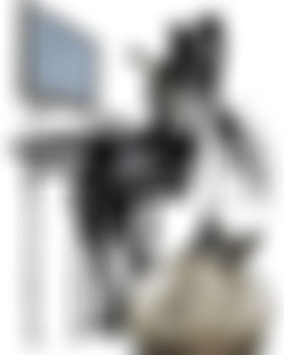 Post media background