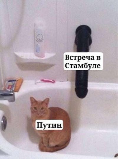 Post media