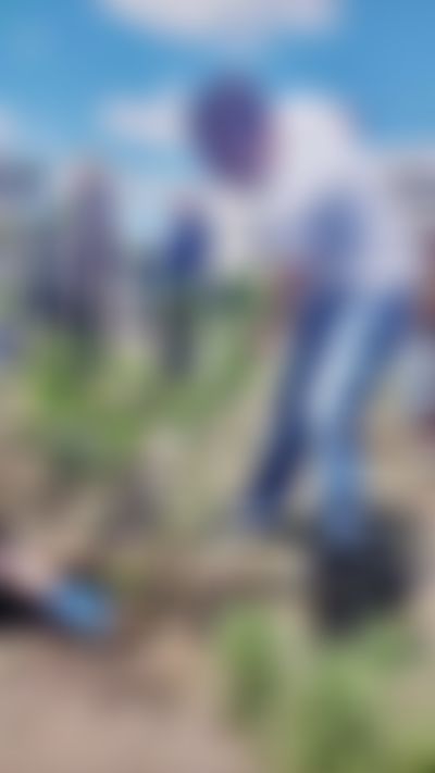 Post media background