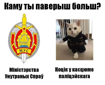 Post media