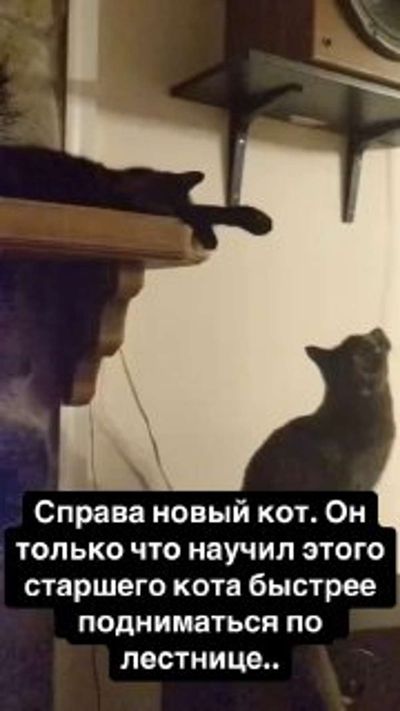 Post media