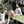 yeji.rep avatar