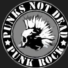 Гражданская оборона Король и шут Сектор газа панк рок все песни punk rock avatar