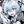 Corin daily + cf avatar