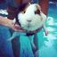 [🐹🐭] ГРЫЗУНЫ CONFESSION Avatar