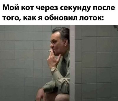 Post media