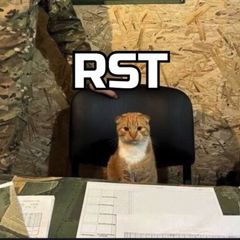 RST avatar
