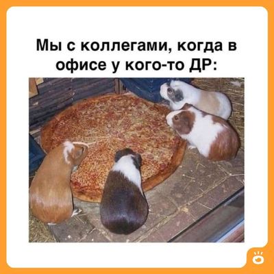 Post media