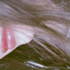 It's about who I love avatar