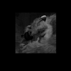 Talkhii🖤 avatar