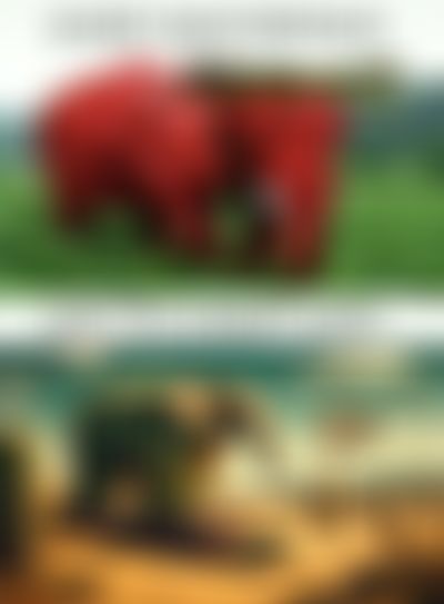 Post media background