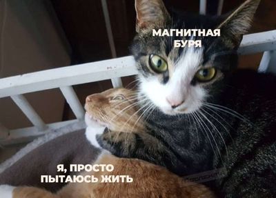 Post media