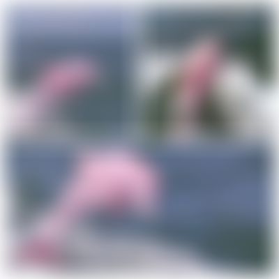 Post media background