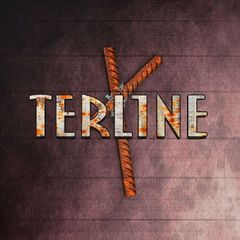 TerL1ne avatar