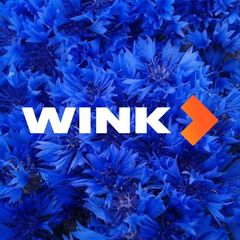 Wink avatar