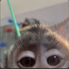 69 avatar