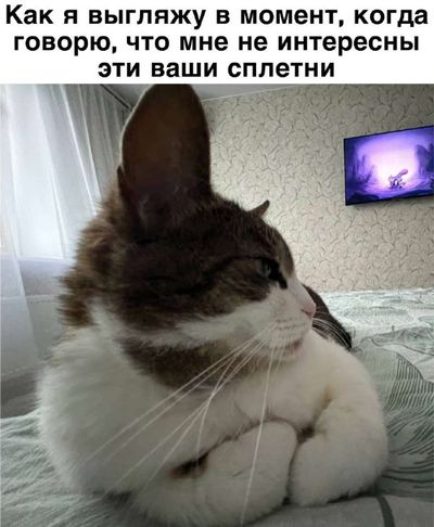 Post media