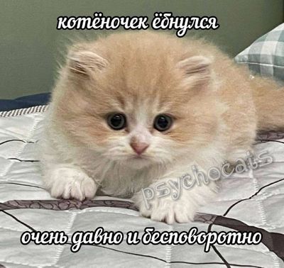 Post media