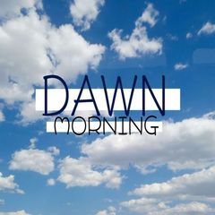 DawnMorning | СЕТКА ПО СВОИМ ОС avatar