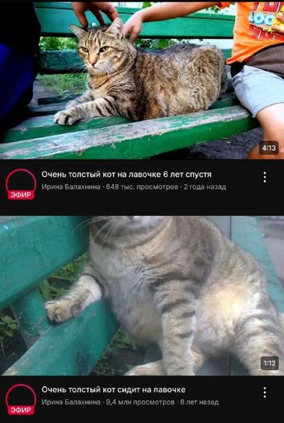 Post media