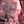 ࣪𓏲ּ❥⬦𝑳𝑼𝑳𝑳𝑨𝑩𝒀 𝑶𝑭 𝑺𝑬𝑪𝑹𝑬𝑻𝑺࣪⬦𓏲ּ⋆° [LC] avatar