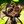 Comfy INFO avatar