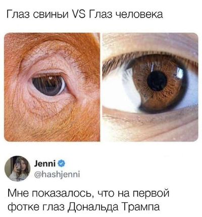 Post media