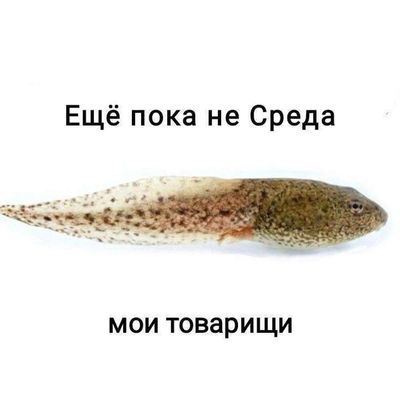Post media