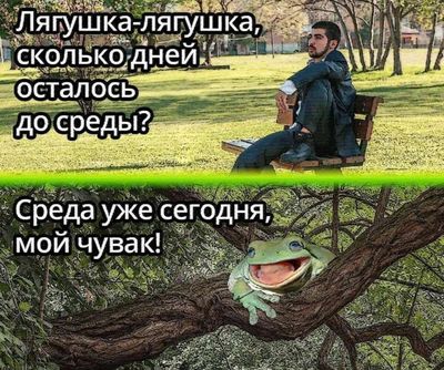 Post media