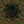 public dump avatar