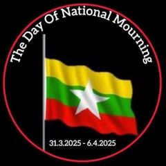 DGF21News avatar