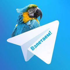 Взлетаем! avatar
